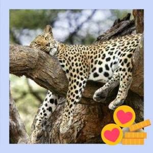 Meet your Posher, Patrick